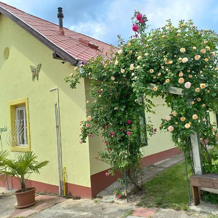 Árnyas Park Apartmanház Bed and Breakfast Balatonalmádi Esterno foto